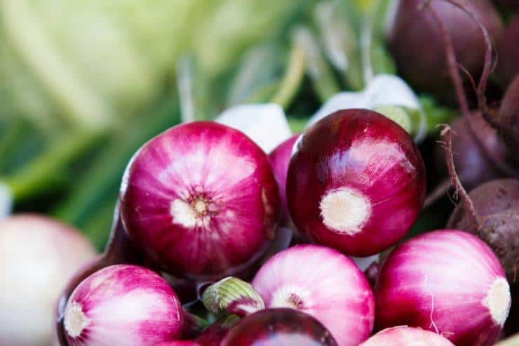 How to start onion farming
