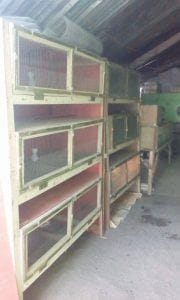 Low Cost Quail Growing Cage