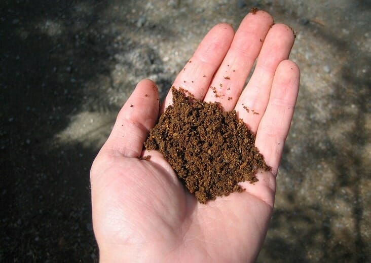 Using Iron Sulfate - Sample of Iron rich soil