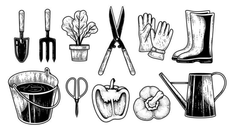 Different types of hand tools used in faming