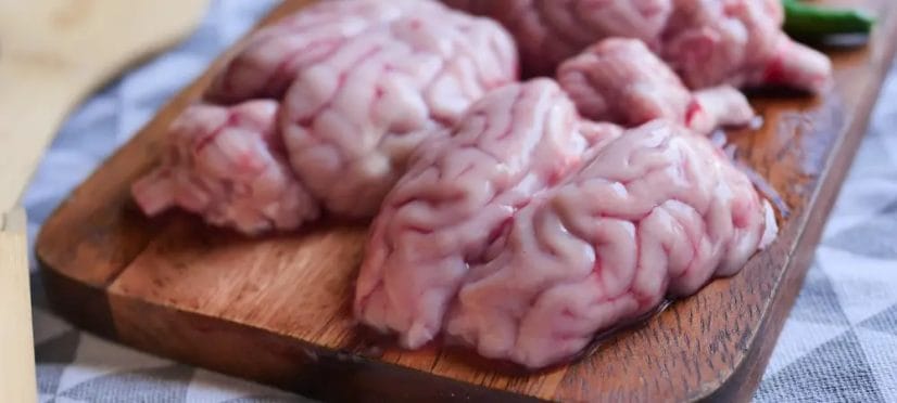 Is goat Brain Good for Health?